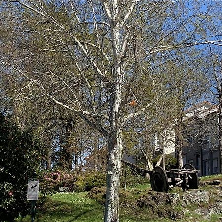 Falda do Pedroso - Campo de Estrellas Santiago de Compostela Exterior foto