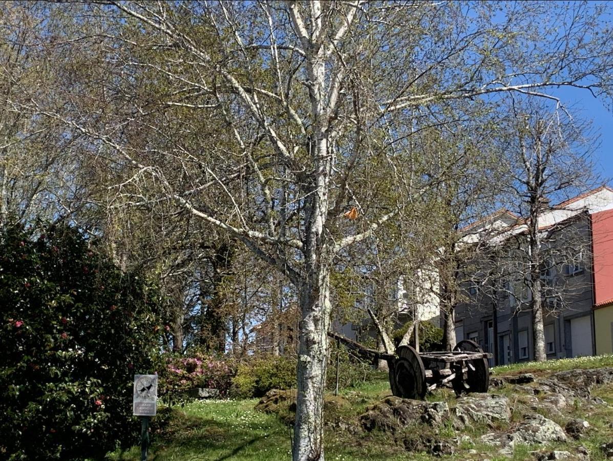 Falda do Pedroso - Campo de Estrellas Santiago de Compostela Exterior foto
